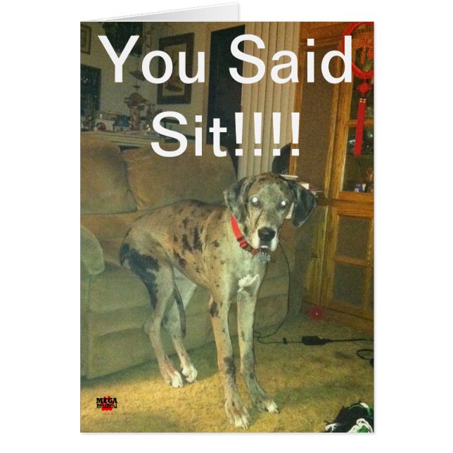 You Said Sit!!!!! (Front)