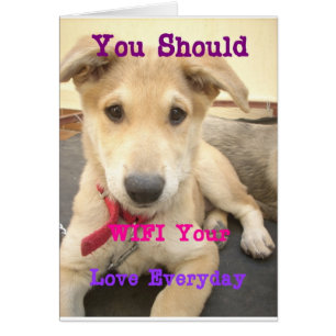 You Should WIFI Your Love Everyday