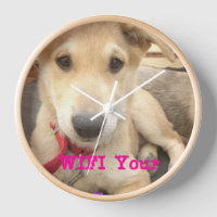 You Should WIFI Your Love Everyday