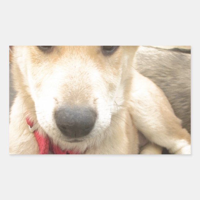 You Should WIFI Your Love Everyday Rectangular Sticker (Front)