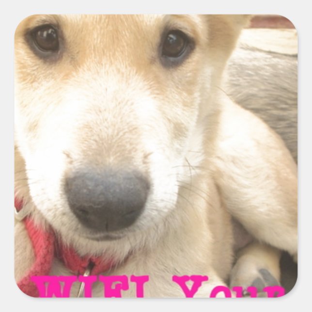 You Should WIFI Your Love Everyday Square Sticker (Front)