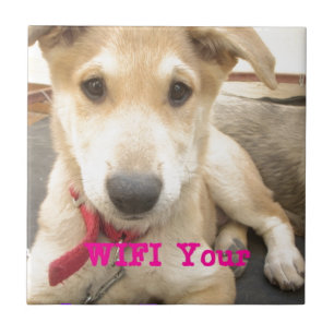 You Should WIFI Your Love Everyday Tile
