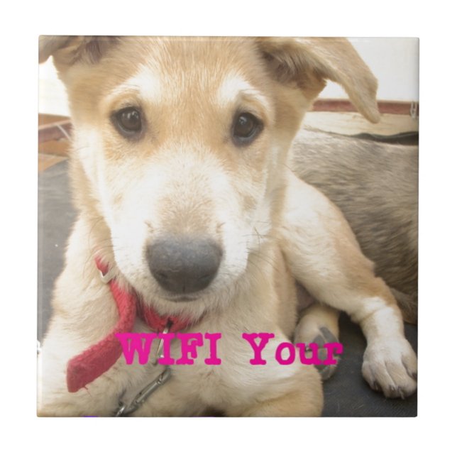 You Should WIFI Your Love Everyday Tile (Front)