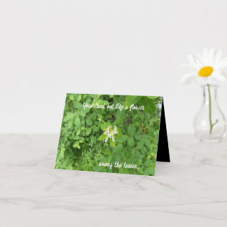 You Stand Out Birthday Card
