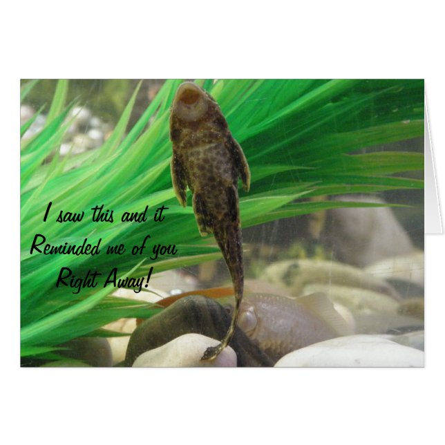 You Suck Card (Front Horizontal)