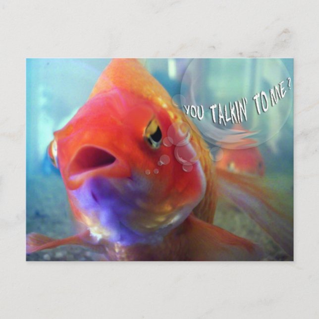 You Talkin' to Me? Postcard (Front)