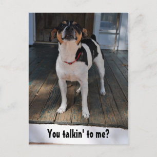 You talkin' to me? postcard