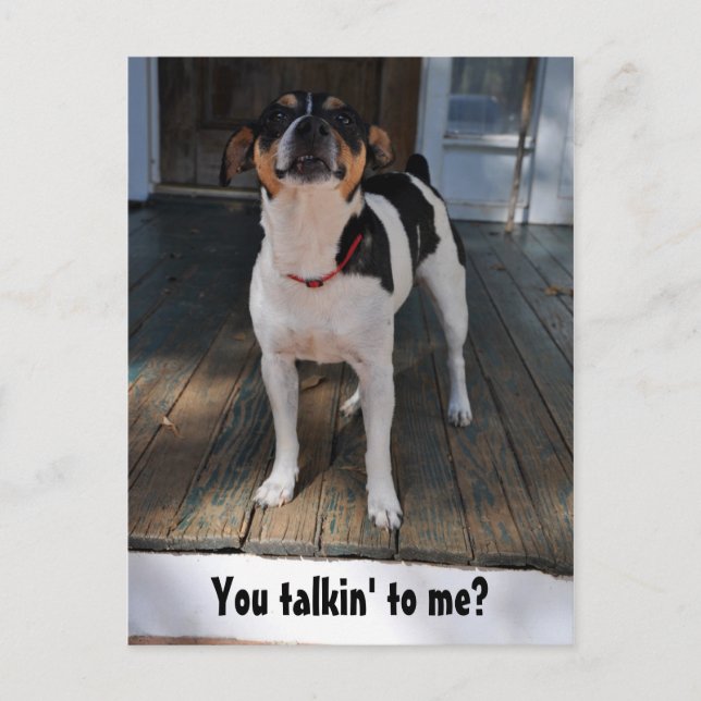 You talkin' to me? postcard (Front)
