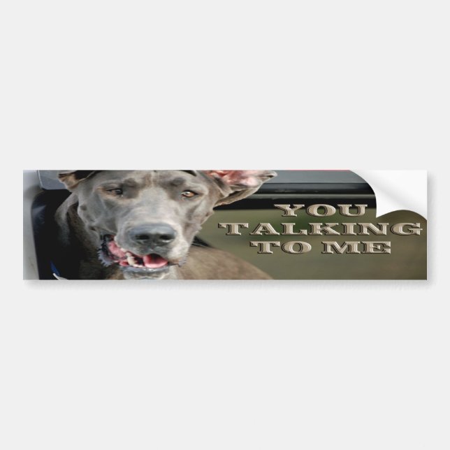 You Talking To Me Bumper Sticker (Front)