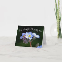 you thought I'd forgotten