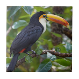 You Toucan Sit In The Treetops, Ceramic Tile