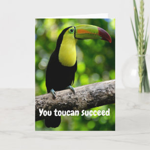 You toucan succeed card
