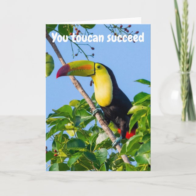 You toucan succeed card (Front)
