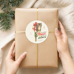 You’ve Got Meow! Special Holiday Delivery Classic Round Sticker