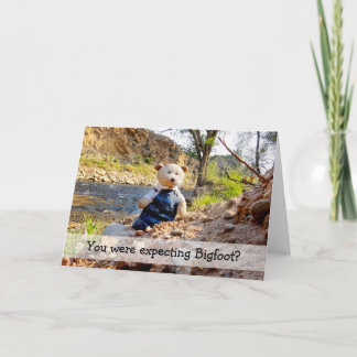 YOU WERE EXPECTING BIGFOOT? 3 ANNOUNCEMENT