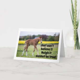 YOU WERE JUST 15 YESTERDAY SAYS HORSE CARD