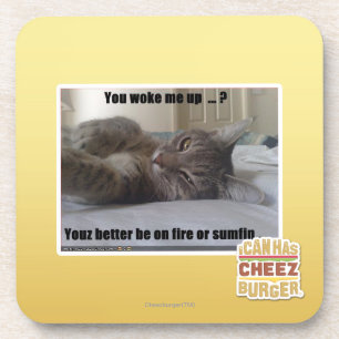You woke me up coaster