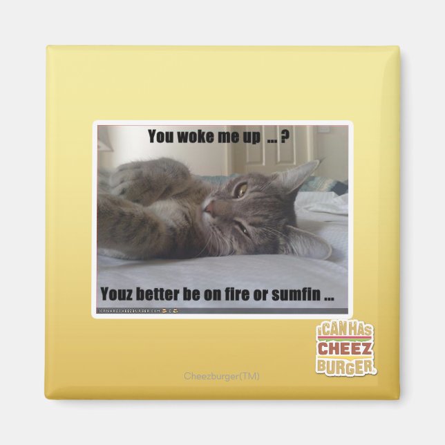 You woke me up magnet (Front)