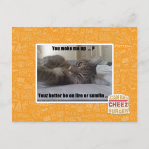 You woke me up postcard