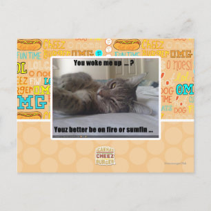 You woke me up postcard