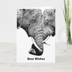 Young African Elephants Birthday Card
