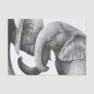 Young African Elephants Tissue Paper