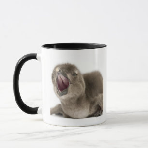 Young African Penguin - Spheniscus demersus. Mug