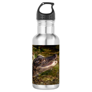 Young Alligator 532 Ml Water Bottle