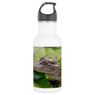 Young Alligator 532 Ml Water Bottle