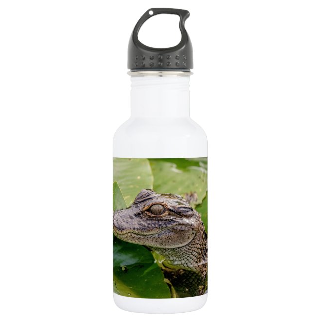 Young Alligator 532 Ml Water Bottle (Front)