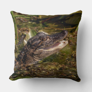 Young Alligator Cushion
