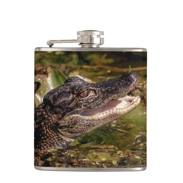 Young Alligator Hip Flask (Front)