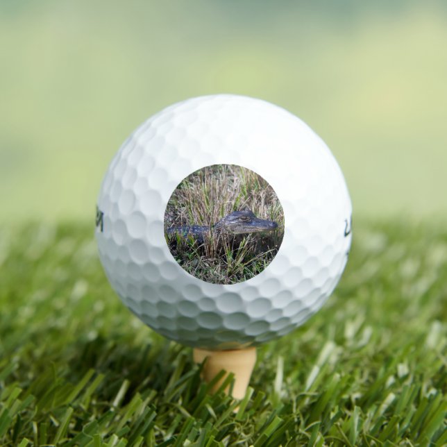 Young Alligator in Florida Marsh Grass  Golf Balls (Insitu Tee)