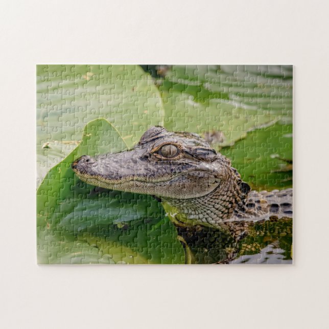 Young Alligator Jigsaw Puzzle (Horizontal)