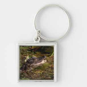 Young Alligator Key Ring