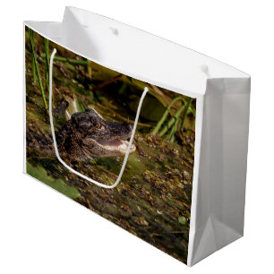 Young Alligator Large Gift Bag