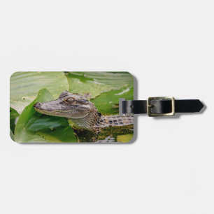 Young Alligator Luggage Tag