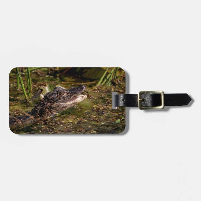 Young Alligator Luggage Tag (Front Horizontal)