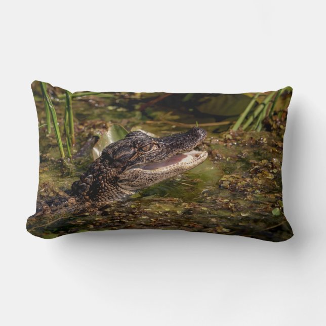 Young Alligator Lumbar Cushion (Front)