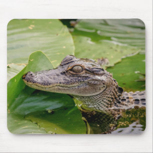 Young Alligator Mouse Pad
