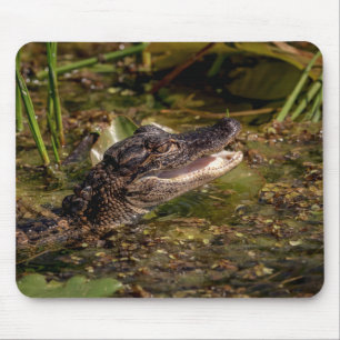 Young Alligator Mouse Pad