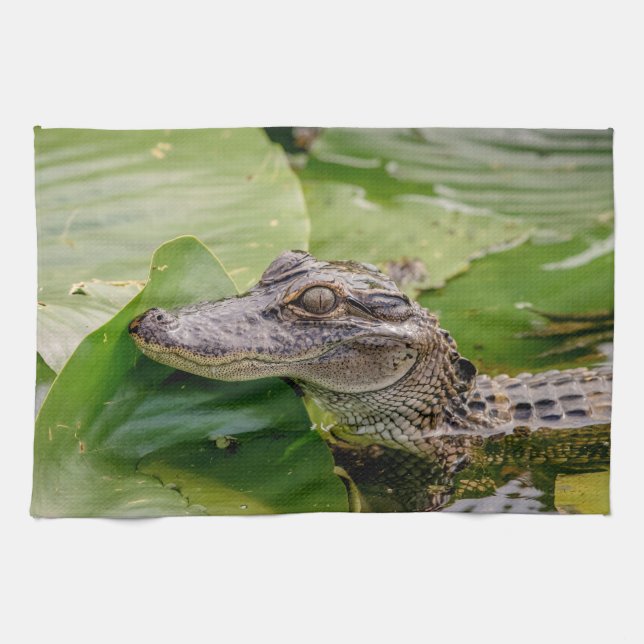 Young Alligator Tea Towel (Horizontal)