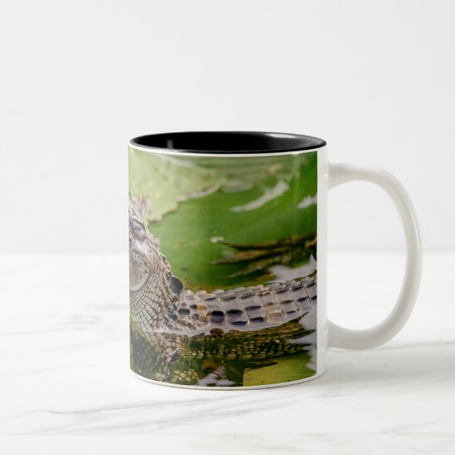 Young Alligator Two-Tone Coffee Mug (Right)