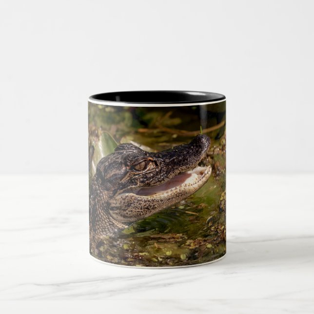 Young Alligator Two-Tone Coffee Mug (Center)