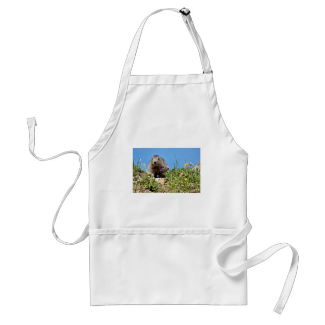 Young Alpine marmot Standard Apron (Front)