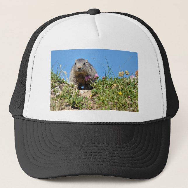 Young Alpine marmot Trucker Hat (Front)