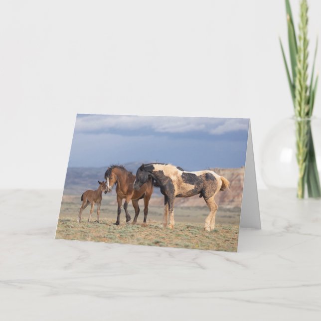 "Young at Heart" Note Card (Front)