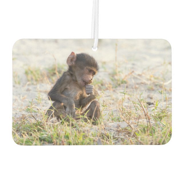 Young Baboon Car Air Freshener (Back)