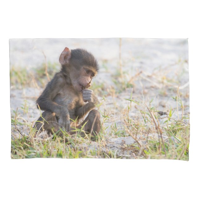 Young Baboon Pillowcase (Front)