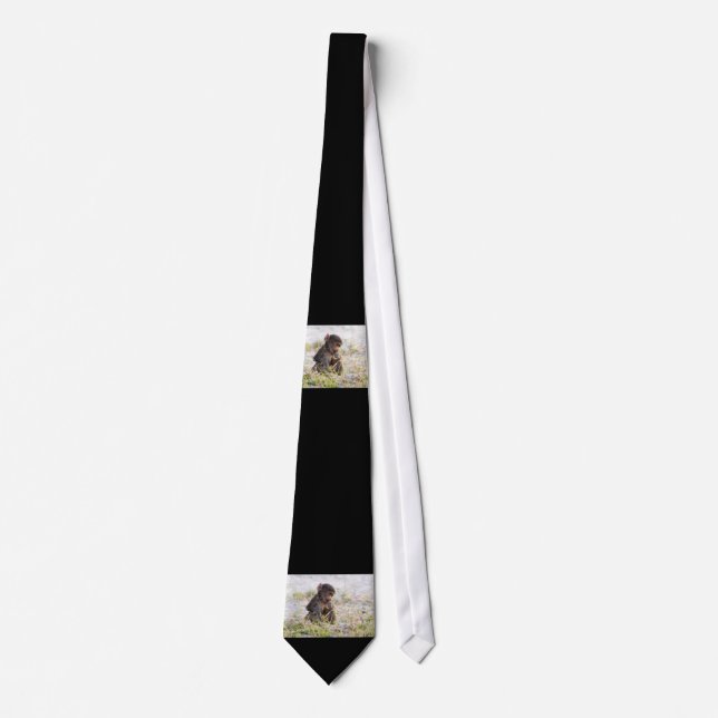 Young Baboon Tie (Front)